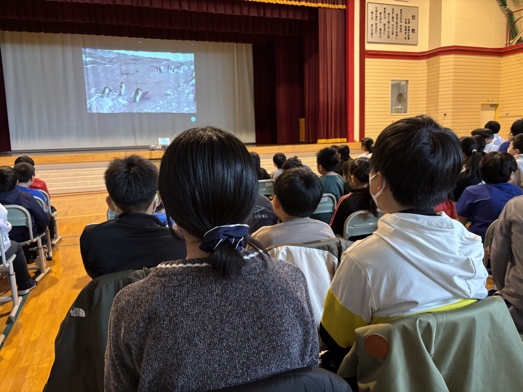 ５年合同学習（南極学習）② 4枚目写真