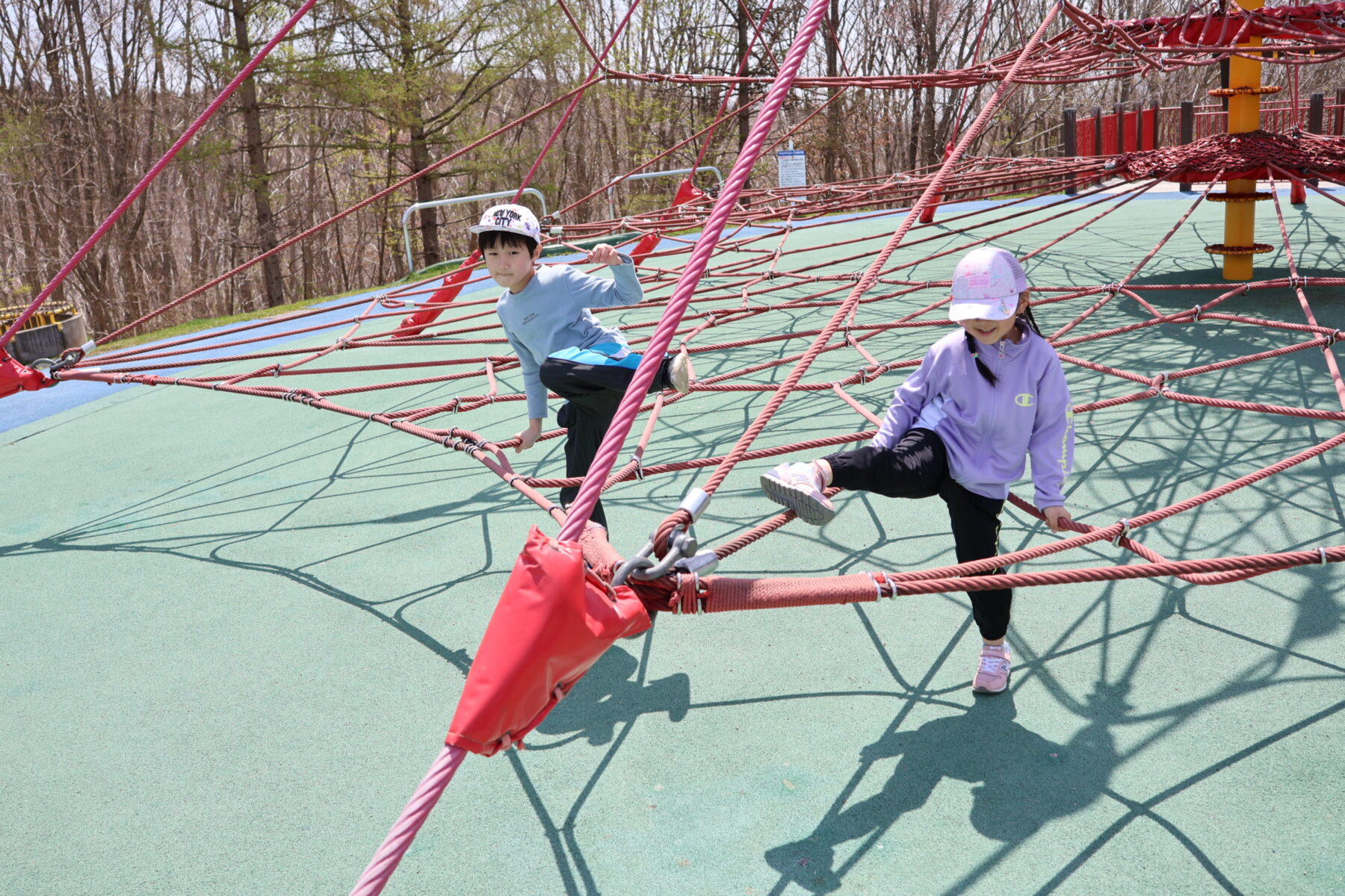 遠足② 6枚目写真