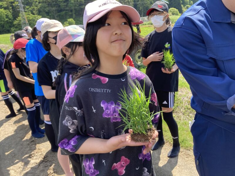 黒米田植え体験