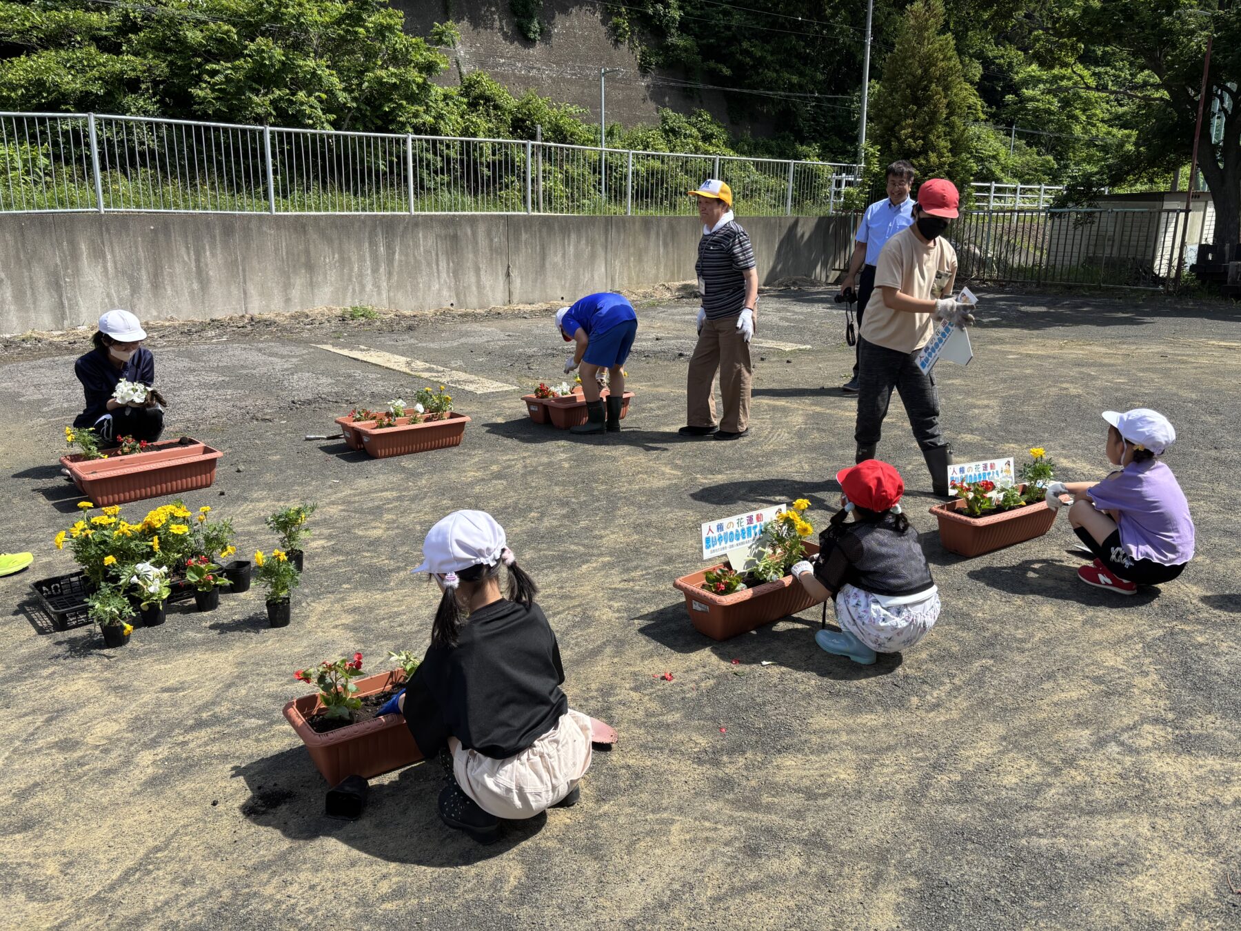 人権の花贈呈式 7枚目写真