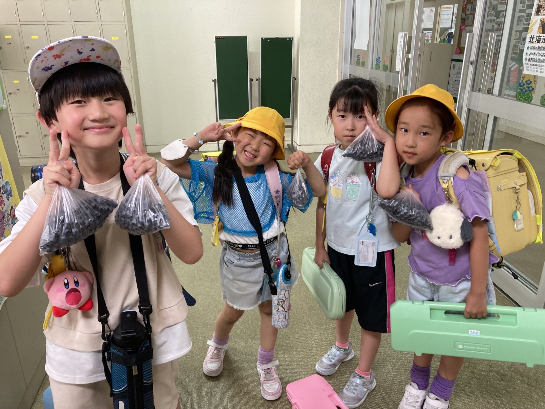 ブルーベリーとすいかをいただきました！ 7枚目写真