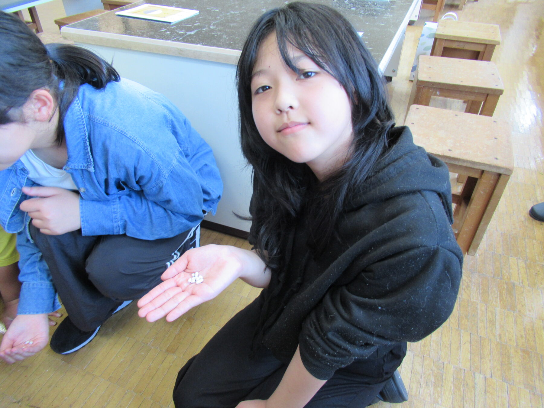 5年　出前授業 5枚目写真